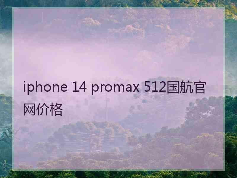 iphone 14 promax 512国航官网价格