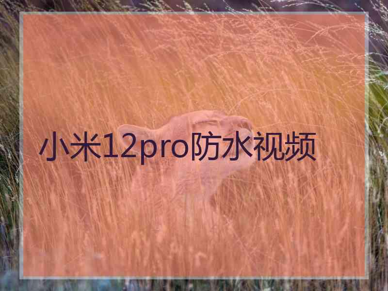 小米12pro防水视频