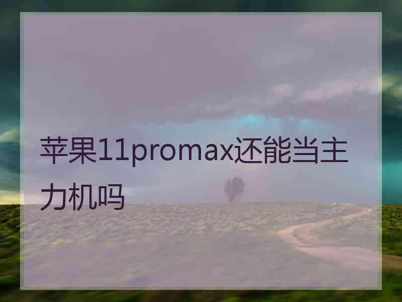 苹果11promax还能当主力机吗