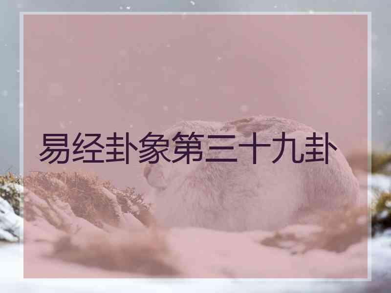 易经卦象第三十九卦