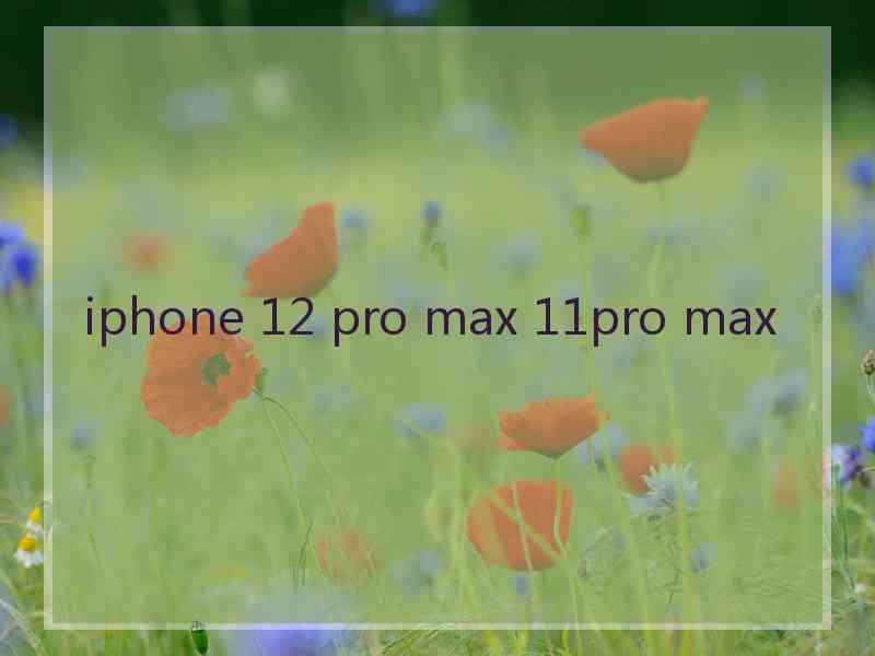 iphone 12 pro max 11pro max