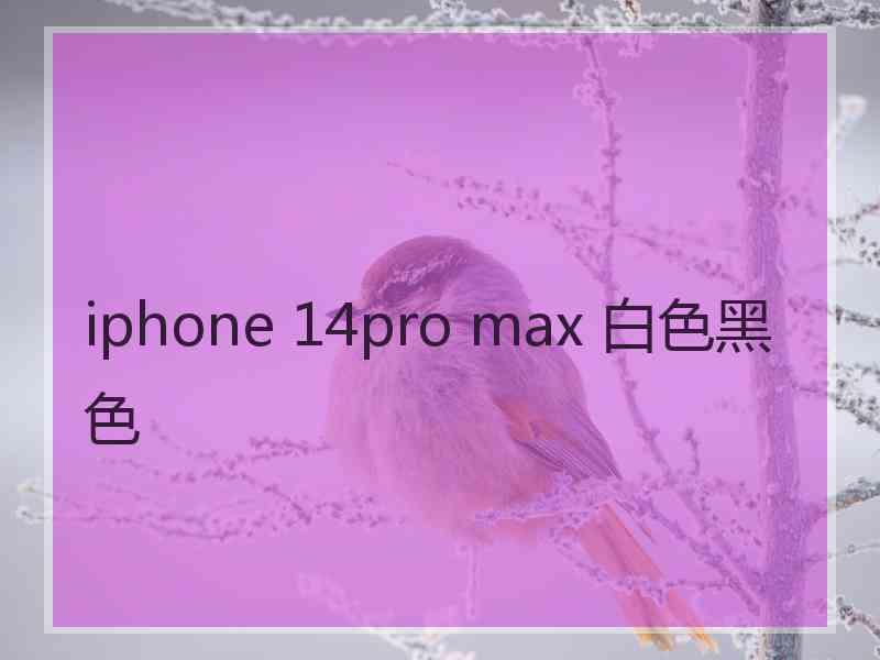 iphone 14pro max 白色黑色