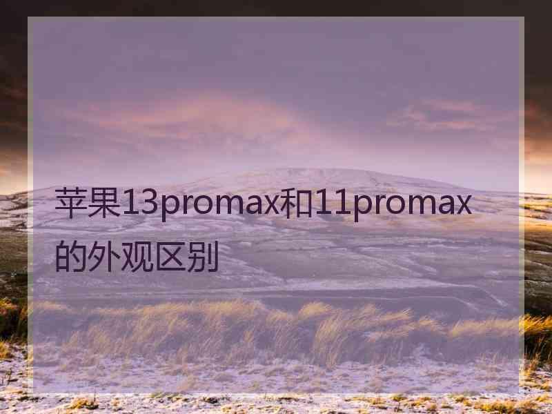 苹果13promax和11promax的外观区别