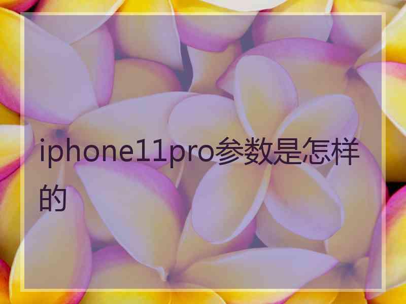 iphone11pro参数是怎样的