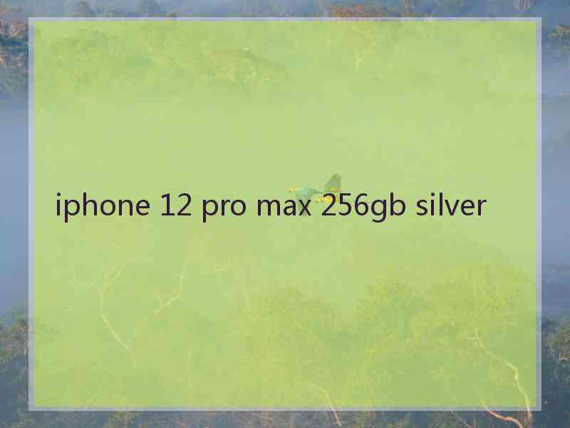 iphone 12 pro max 256gb silver