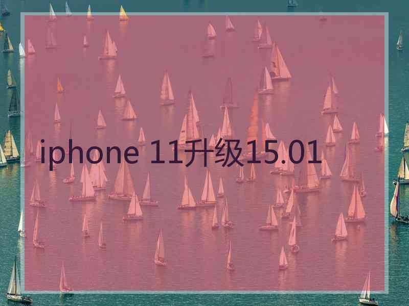 iphone 11升级15.01