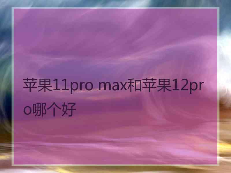 苹果11pro max和苹果12pro哪个好