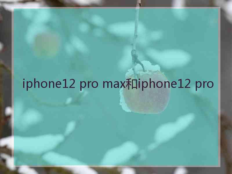 iphone12 pro max和iphone12 pro