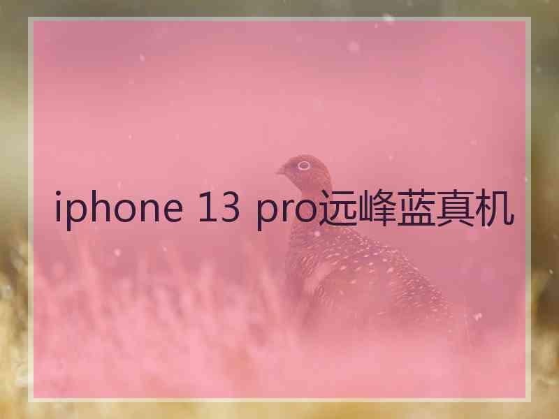 iphone 13 pro远峰蓝真机