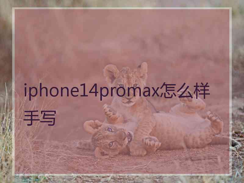 iphone14promax怎么样手写