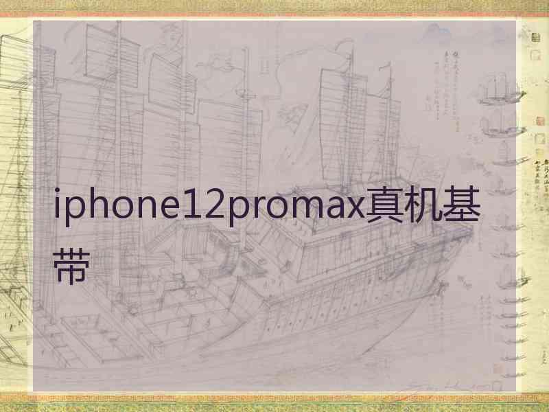 iphone12promax真机基带