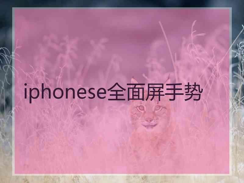 iphonese全面屏手势