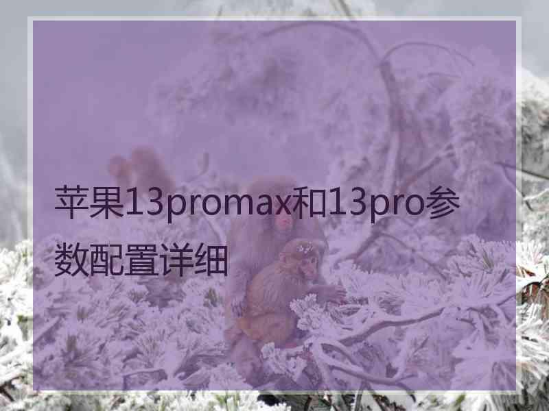 苹果13promax和13pro参数配置详细