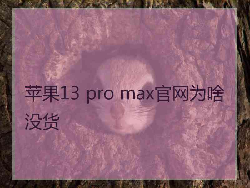 苹果13 pro max官网为啥没货