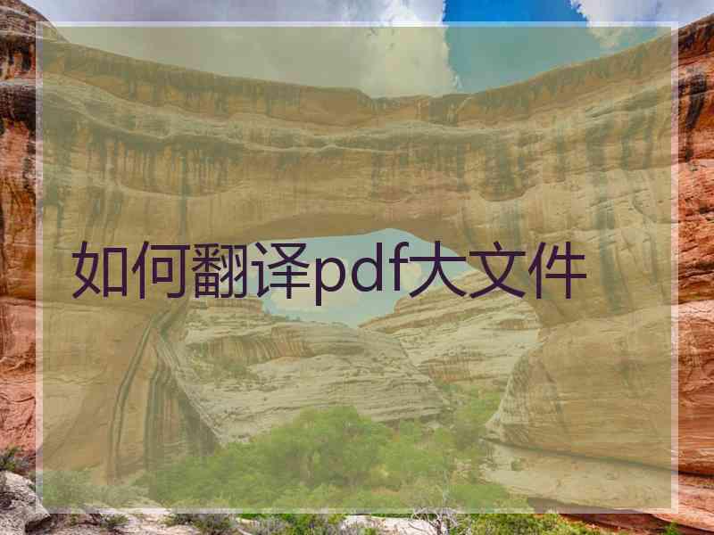 如何翻译pdf大文件