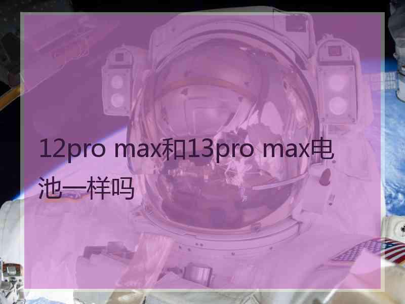 12pro max和13pro max电池一样吗