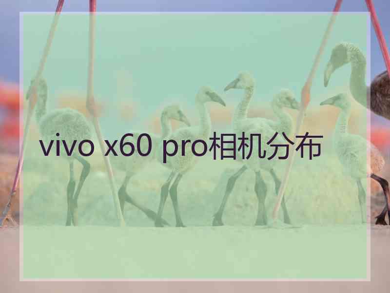 vivo x60 pro相机分布