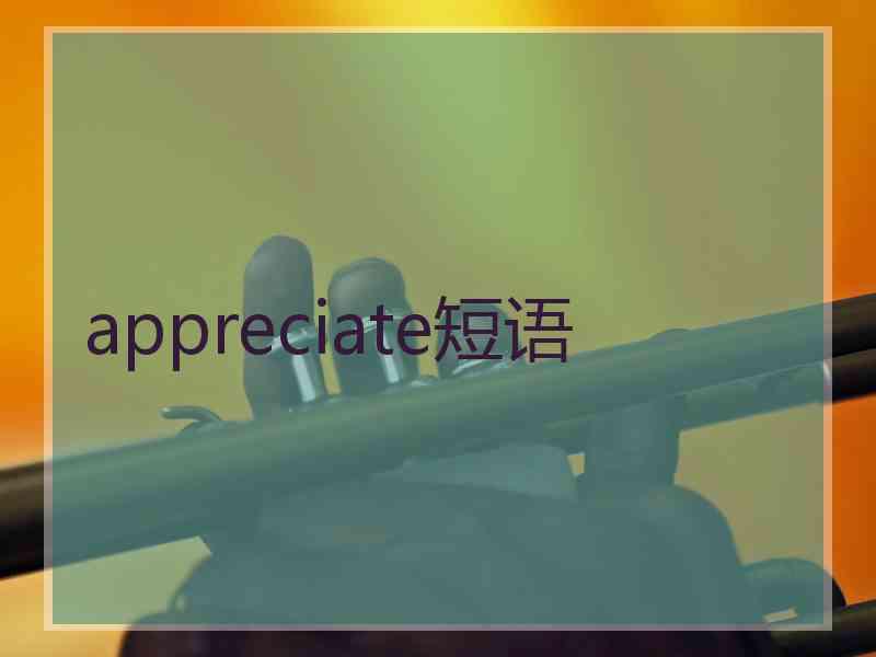 appreciate短语