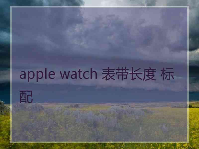 apple watch 表带长度 标配