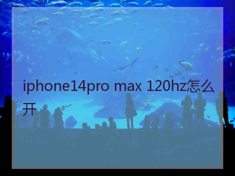 iphone14pro max 120hz怎么开