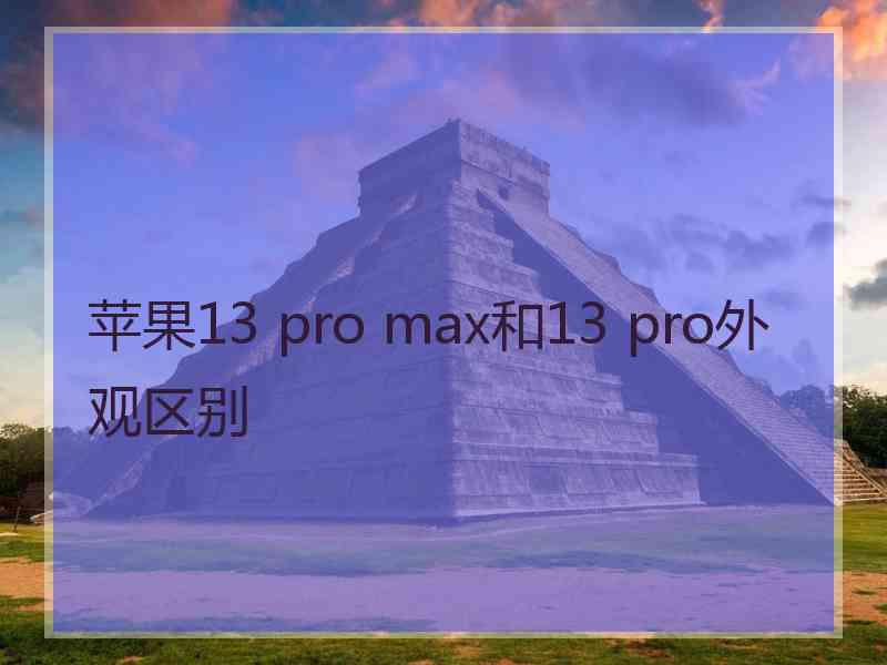 苹果13 pro max和13 pro外观区别