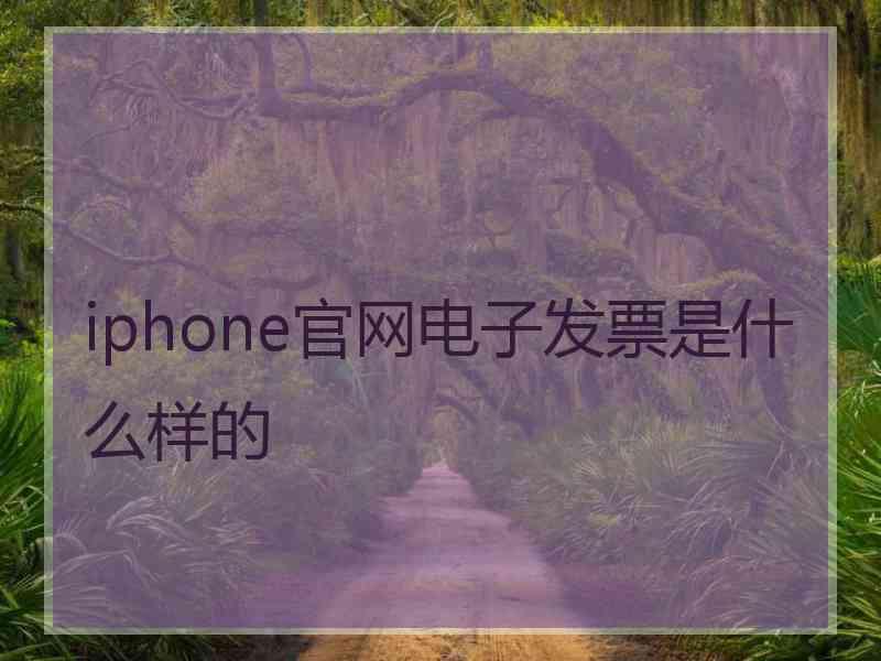 iphone官网电子发票是什么样的