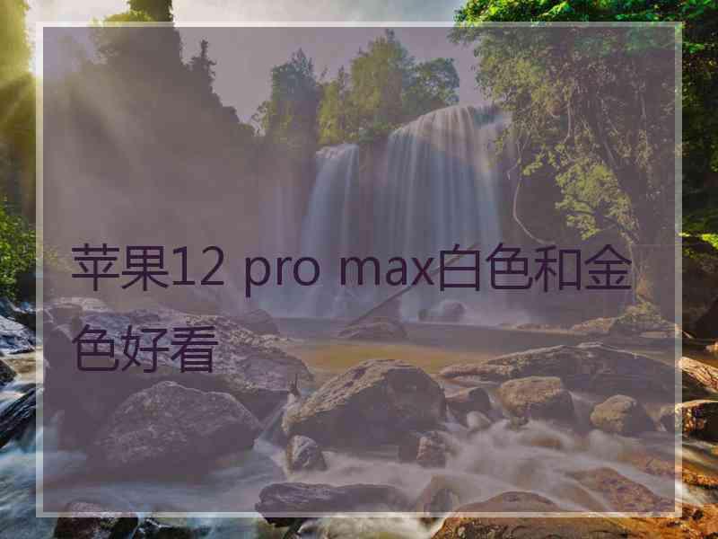 苹果12 pro max白色和金色好看