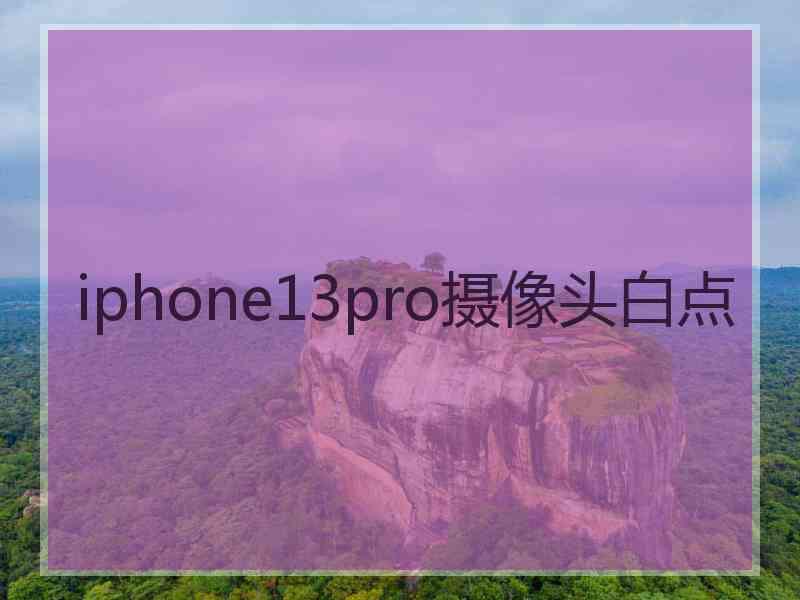 iphone13pro摄像头白点