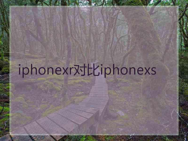 iphonexr对比iphonexs