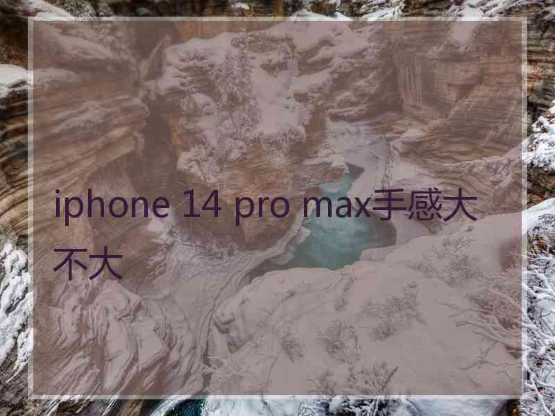 iphone 14 pro max手感大不大