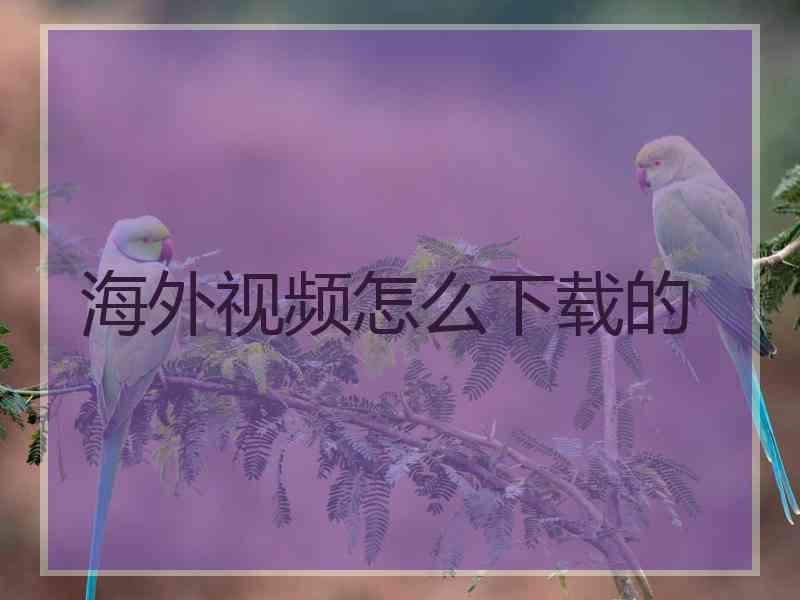 海外视频怎么下载的