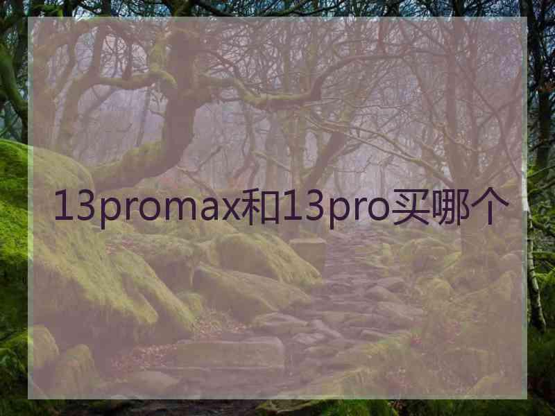 13promax和13pro买哪个