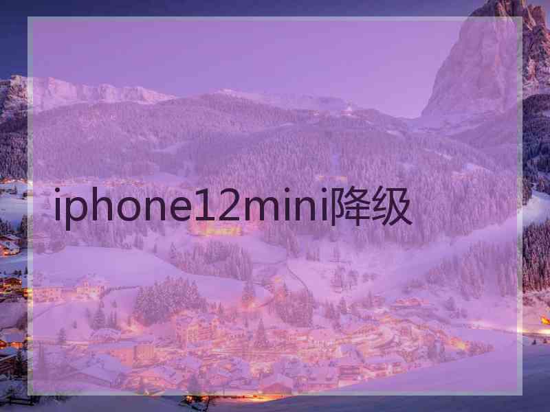 iphone12mini降级