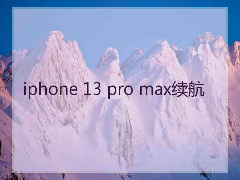 iphone 13 pro max续航