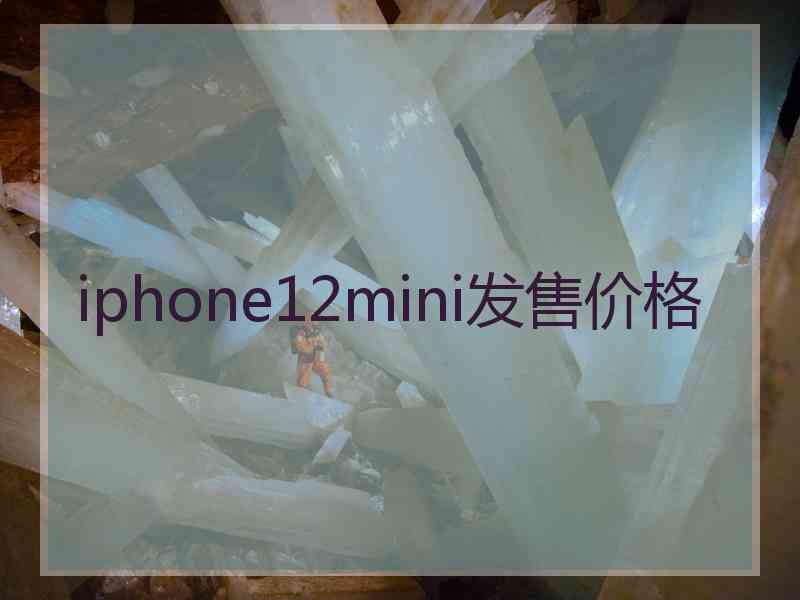 iphone12mini发售价格