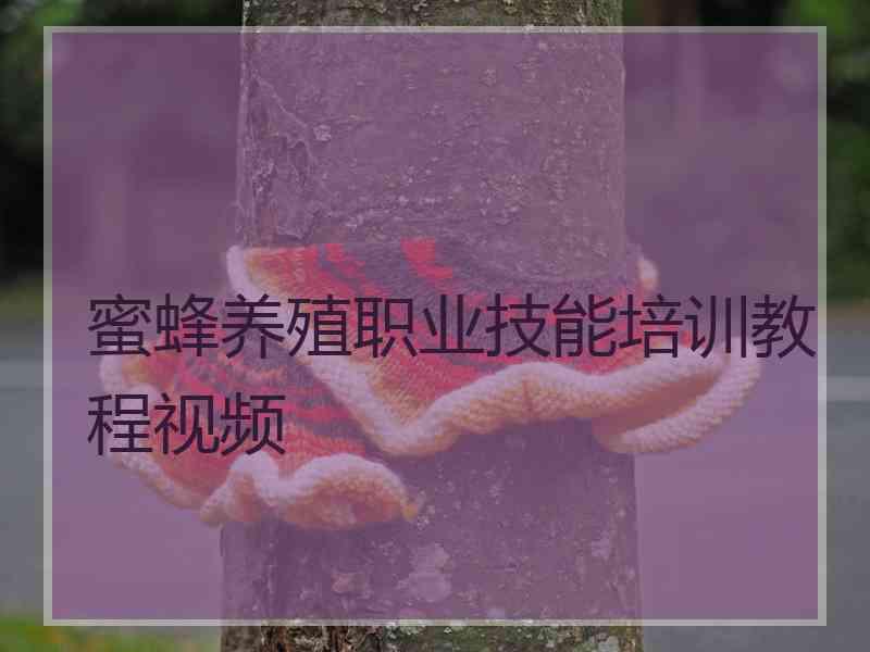 蜜蜂养殖职业技能培训教程视频