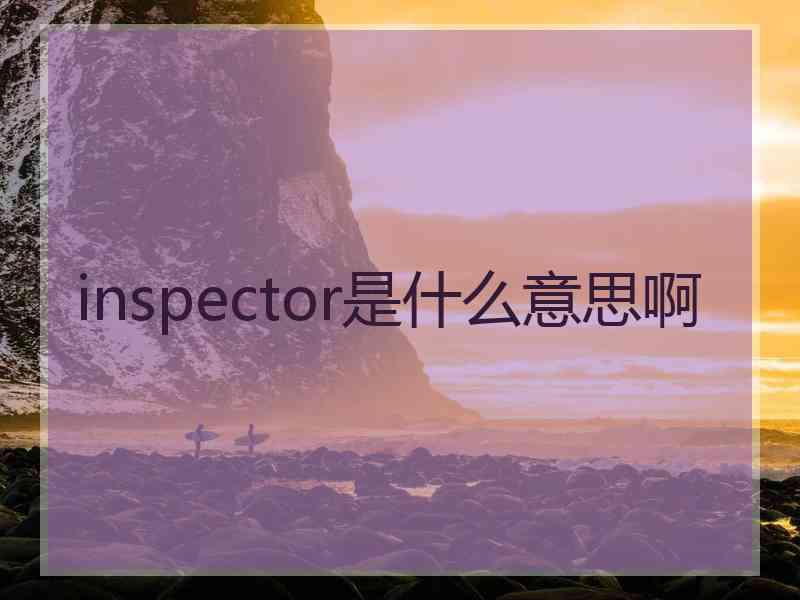 inspector是什么意思啊