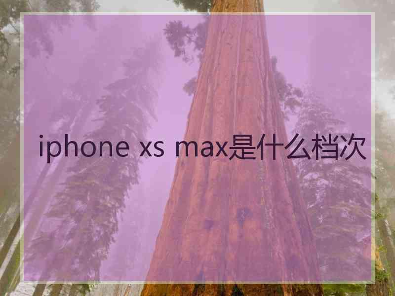 iphone xs max是什么档次