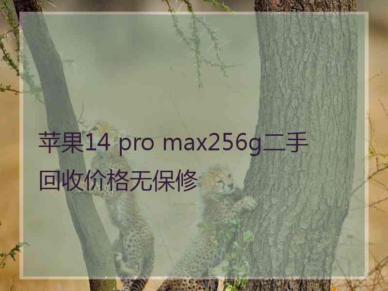 苹果14 pro max256g二手回收价格无保修