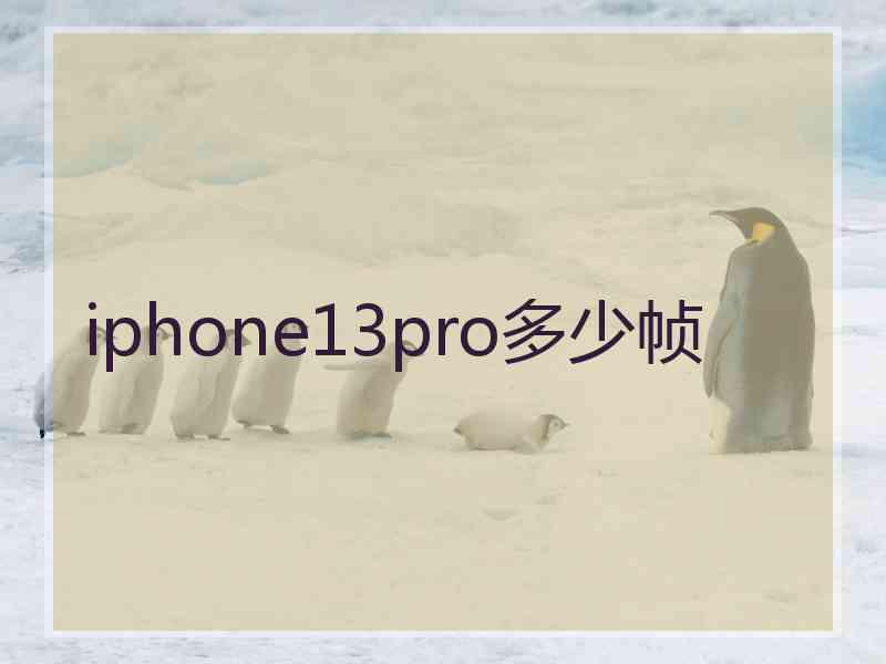 iphone13pro多少帧