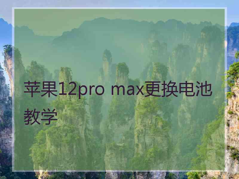 苹果12pro max更换电池教学