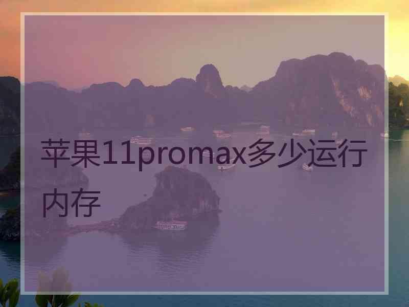 苹果11promax多少运行内存