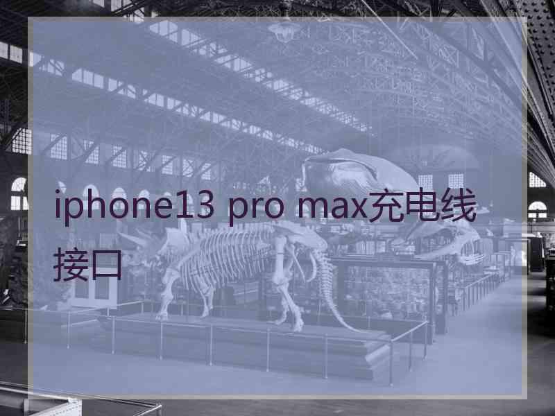 iphone13 pro max充电线接口