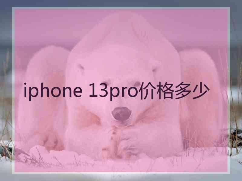 iphone 13pro价格多少