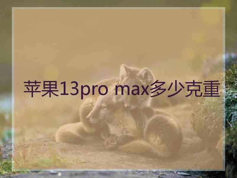 苹果13pro max多少克重