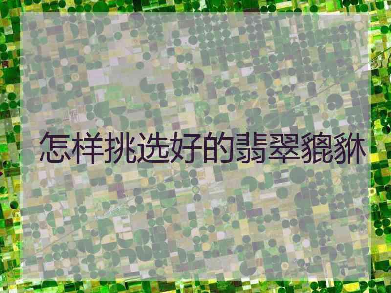 怎样挑选好的翡翠貔貅