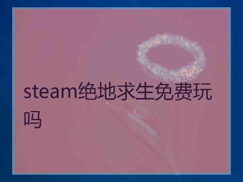 steam绝地求生免费玩吗