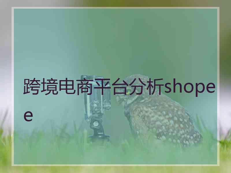 跨境电商平台分析shopee