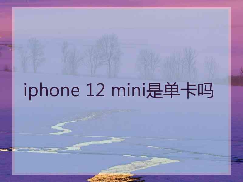 iphone 12 mini是单卡吗