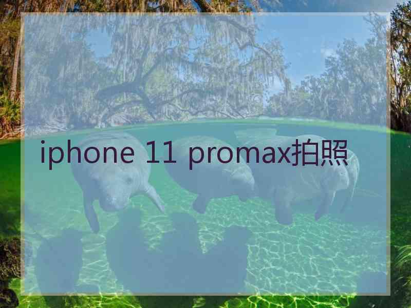 iphone 11 promax拍照